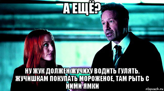 а ещё? ну жук должен жучиху водить гулять. жучишкам покупать мороженое, там рыть с ними ямки