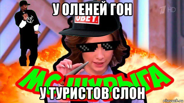 у оленей гон у туристов слон