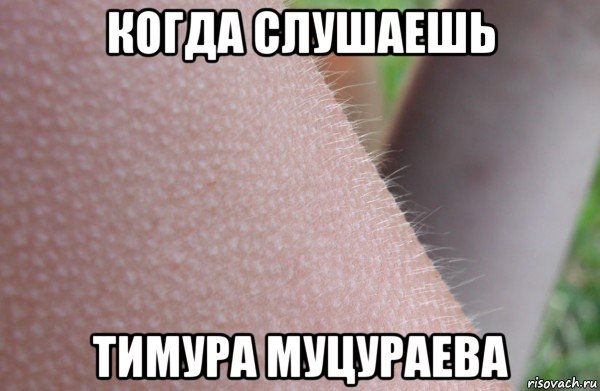 когда слушаешь тимура муцураева