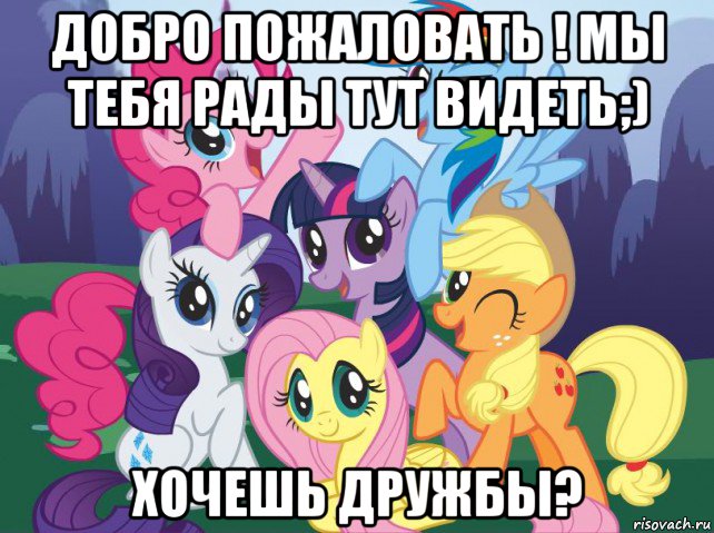 добро пожаловать ! мы тебя рады тут видеть;) хочешь дружбы?, Мем My little pony