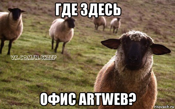 где здесь офис artweb?, Мем  Наивная Овца