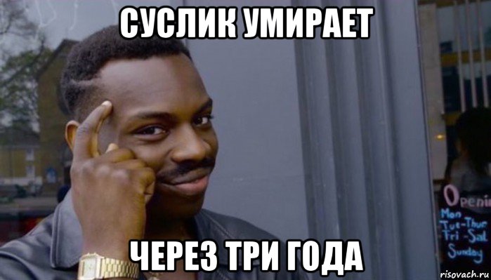 суслик умирает через три года, Мем Не делай не будет