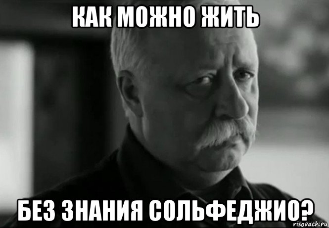 как можно жить без знания сольфеджио?, Мем Не расстраивай Леонида Аркадьевича