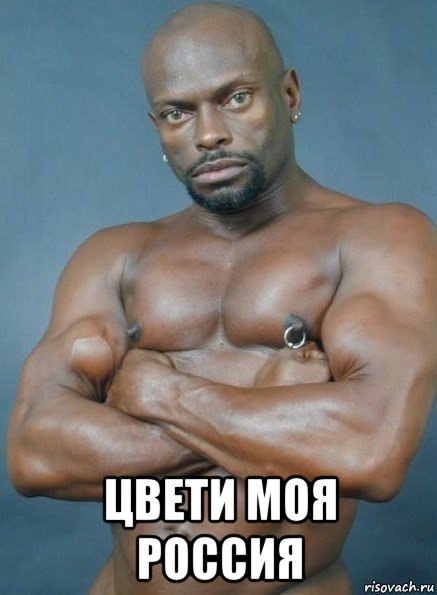  цвети моя россия