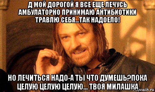 д мой дорогой я все еще лечусь амбулаторно принимаю антибиотики травлю себя...так надоело! но лечиться надо-а ты что думешь?пока целую целую целую... твоя милашка, Мем Нельзя просто так взять и (Боромир мем)