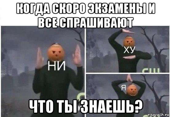 когда скоро экзамены и все спрашивают что ты знаешь?, Мем  Ни ху Я