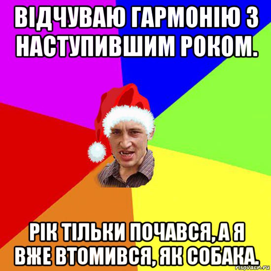 відчуваю гармонію з наступившим роком. рік тільки почався, а я вже втомився, як собака.
