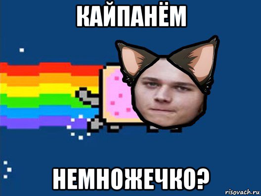 кайпанём немножечко?, Мем Нян Кэт в Реальной Жизни