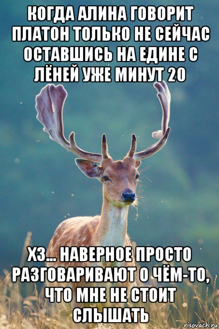 когда алина говорит платон только не сейчас оставшись на едине с лёней уже минут 20 хз... наверное просто разговаривают о чём-то, что мне не стоит слышать, Мем олень