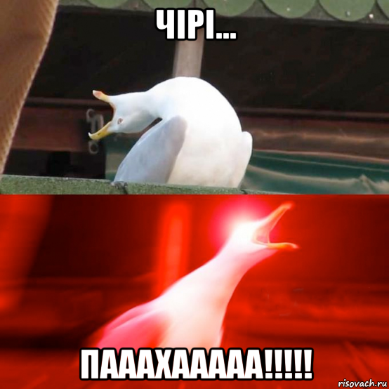 чірі... пааахааааа!!!!!
