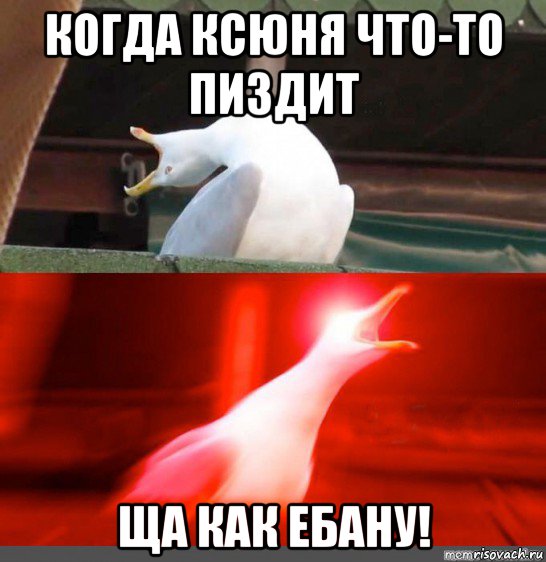 когда ксюня что-то пиздит ща как ебану!, Мем Орущий гусь