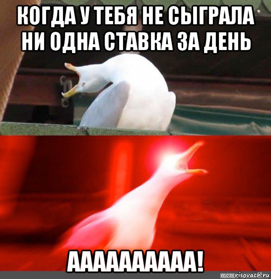 когда у тебя не сыграла ни одна ставка за день аааааааааа!