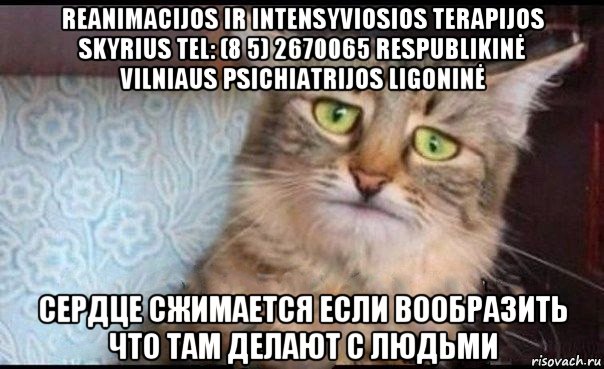 reanimacijos ir intensyviosios terapijos skyrius tel: (8 5) 2670065 respublikinė vilniaus psichiatrijos ligoninė сердце сжимается если вообразить что там делают с людьми
