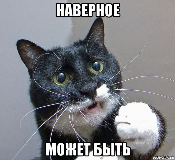 наверное может быть, Мем Печальный кот