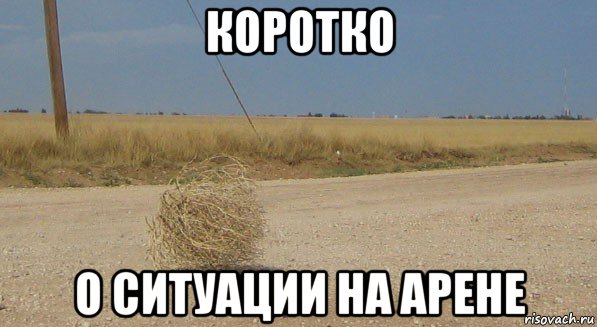коротко о ситуации на арене, Мем перекати-поле одиночество