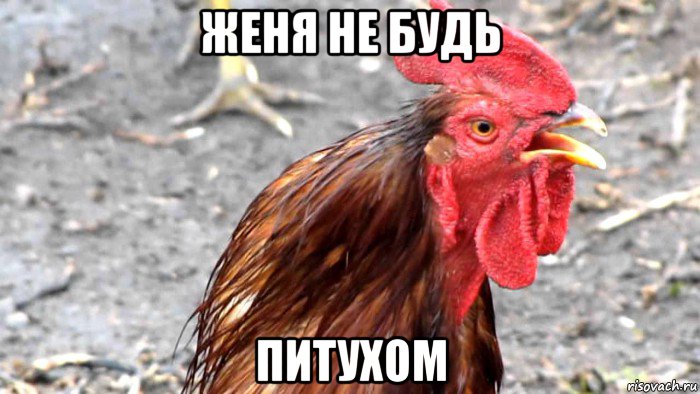 женя не будь питухом