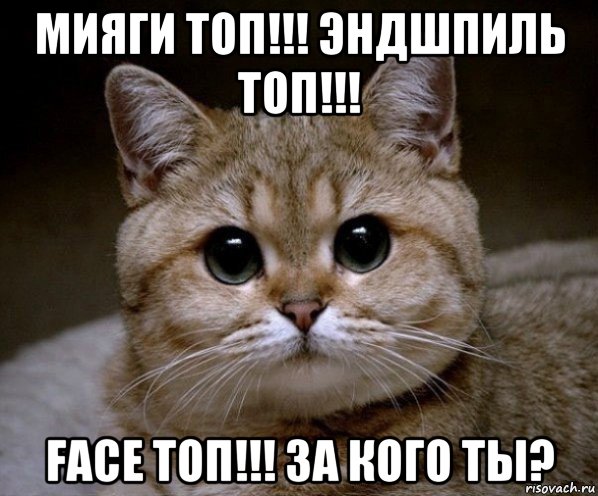 мияги топ!!! эндшпиль топ!!! face топ!!! за кого ты?, Мем Пидрила Ебаная