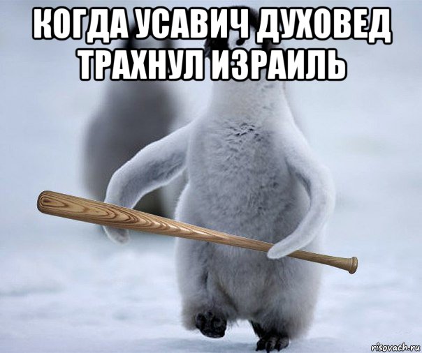 когда усавич духовед трахнул израиль , Мем Пингвин  Гопник