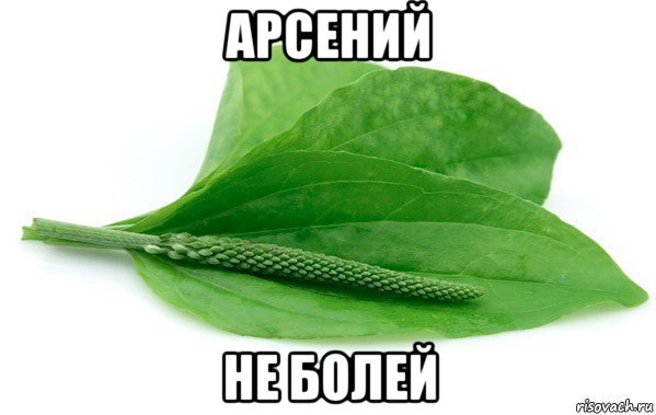 арсений не болей