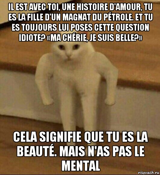 il est avec toi, une histoire d'amour, tu es la fille d'un magnat du pétrole. et tu es toujours lui poses cette question idiote? «ma chérie, je suis belle?» cela signifie que tu es la beauté. mais n'as pas le mental, Мем  Полукот