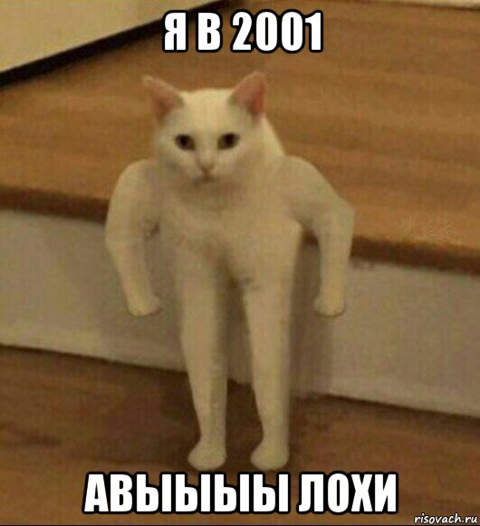 я в 2001 авыыыы лохи, Мем  Полукот