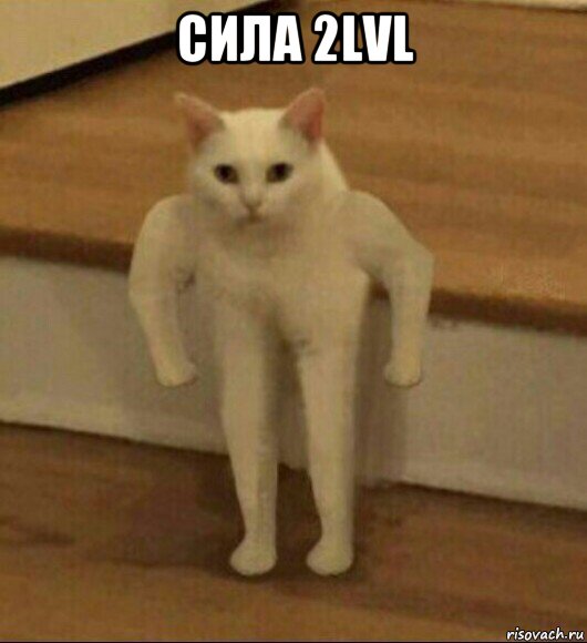 сила 2lvl , Мем  Полукот