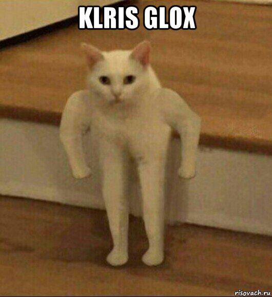 klris glox , Мем  Полукот