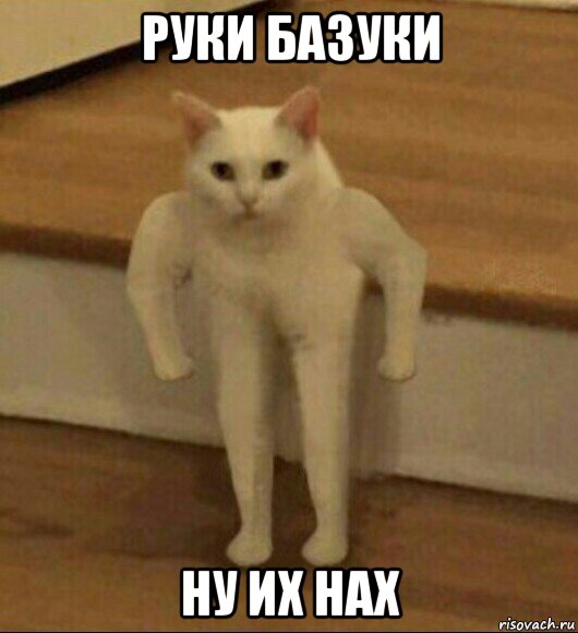 руки базуки ну их нах, Мем  Полукот