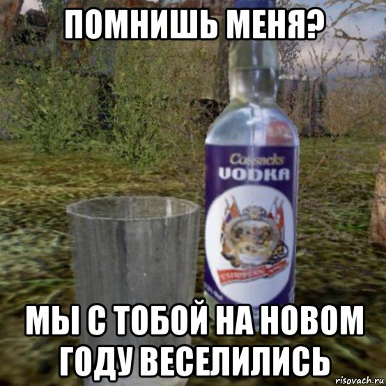 помнишь меня? мы с тобой на новом году веселились