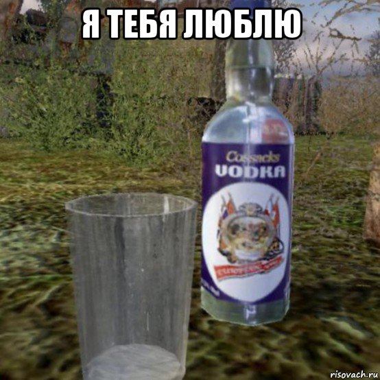 я тебя люблю 