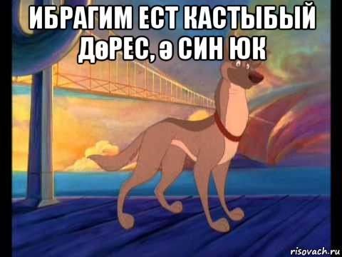 ибрагим ест кастыбый дөрес, ә син юк 
