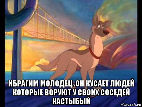  ибрагим молодец .он кусает людей которые воруют у своих соседей кастыбый