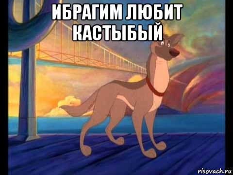 ибрагим любит кастыбый 