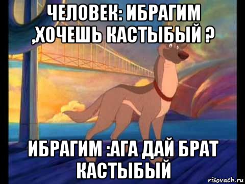 человек: ибрагим ,хочешь кастыбый ? ибрагим :ага дай брат кастыбый