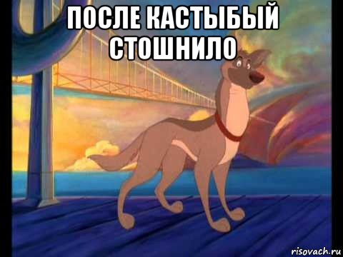 после кастыбый стошнило 