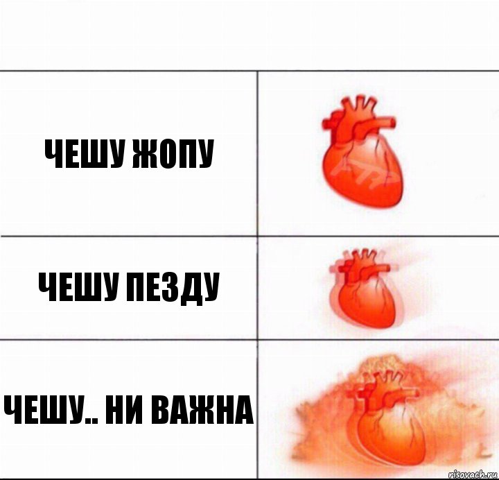 Чешу жопу Чешу пезду чешу.. ни важна