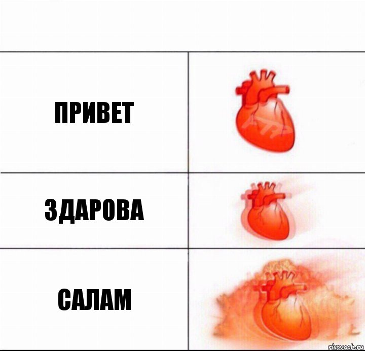 Привет Здарова Салам