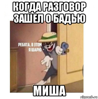 когда разговор зашел о бадью миша, Мем Ребята я в этом шарю