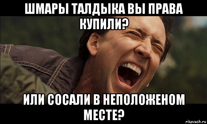 шмары талдыка вы права купили? или сосали в неположеном месте?