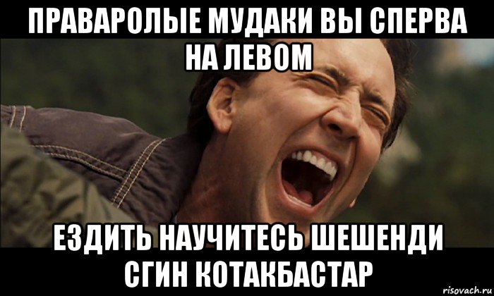 праваролые мудаки вы сперва на левом ездить научитесь шешенди сгин котакбастар