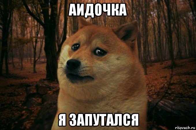 аидочка я запутался, Мем SAD DOGE