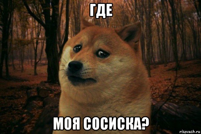 где моя сосиска?, Мем SAD DOGE