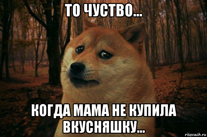 то чуство... когда мама не купила вкусняшку..., Мем SAD DOGE