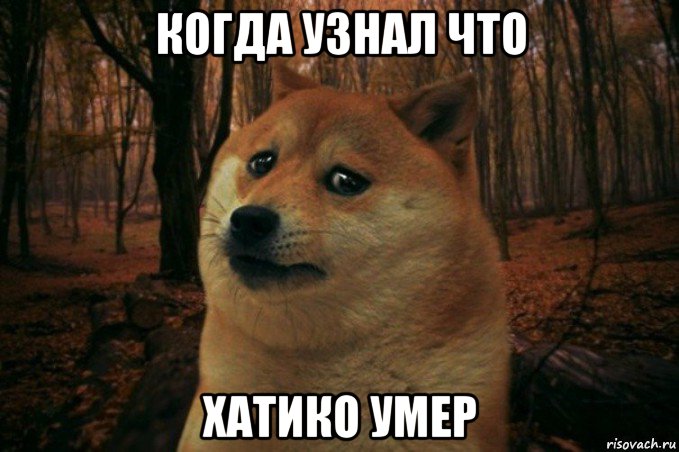 когда узнал что хатико умер, Мем SAD DOGE