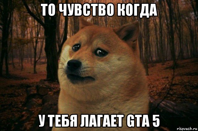 то чувство когда у тебя лагает gta 5, Мем SAD DOGE