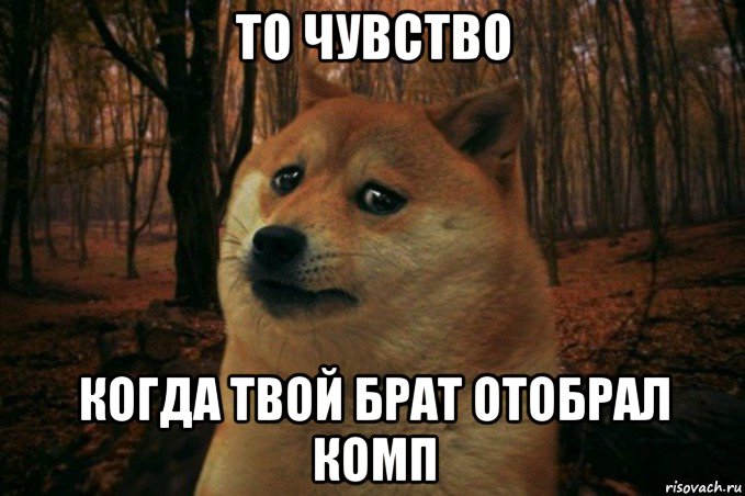 то чувство когда твой брат отобрал комп, Мем SAD DOGE