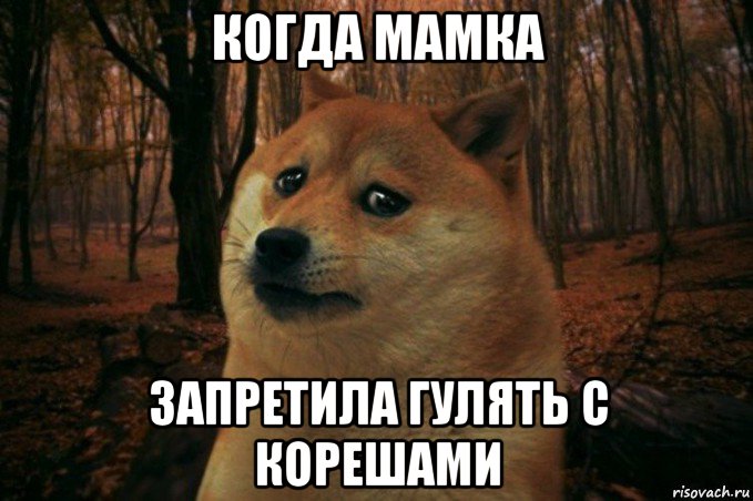 когда мамка запретила гулять с корешами, Мем SAD DOGE