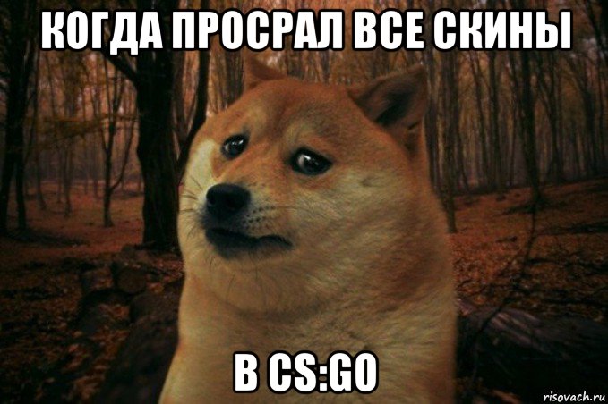 когда просрал все скины в cs:go, Мем SAD DOGE