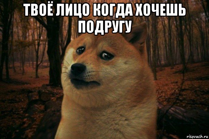 твоё лицо когда хочешь подругу , Мем SAD DOGE