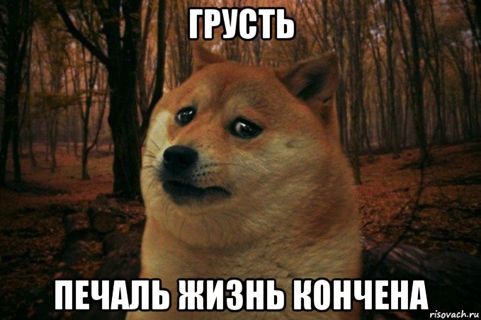 грусть печаль жизнь кончена, Мем SAD DOGE